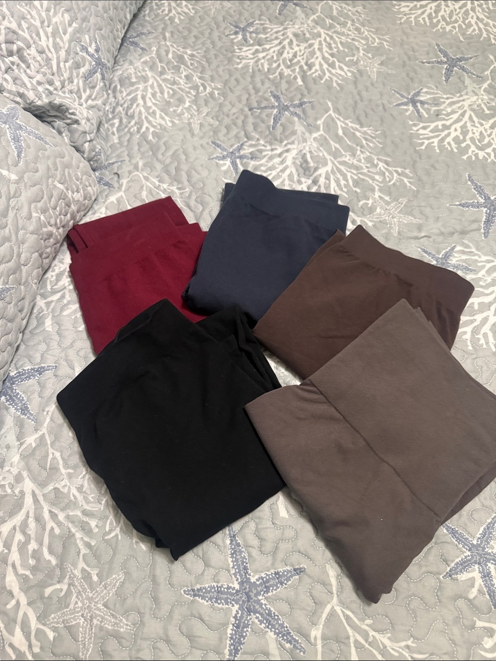 Assorted Solid Leggings - Black, Burgundy, Navy, Brown, Gray